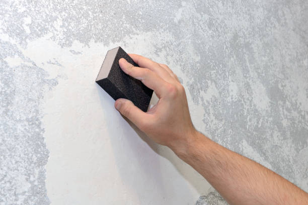 Best Mold Removal for HVAC Installations  in Tonka Bay, MN