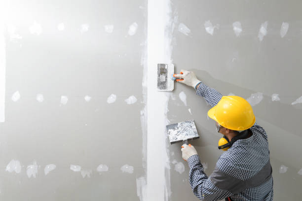 Best Residential Mold Inspection & Testing  in Tonka Bay, MN