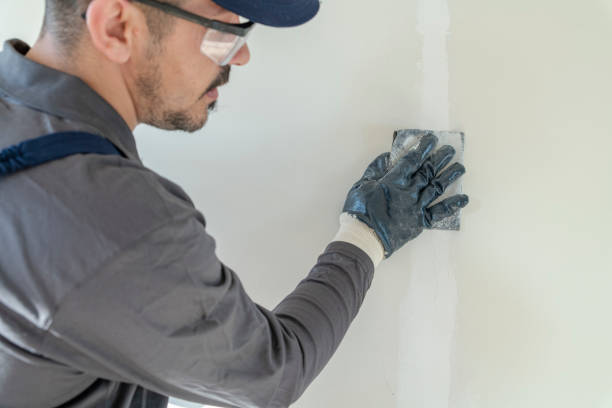 Best Mold-Related Health Consultation  in Tonka Bay, MN