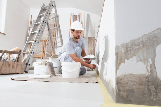 Best Biohazard Mold Removal  in Tonka Bay, MN