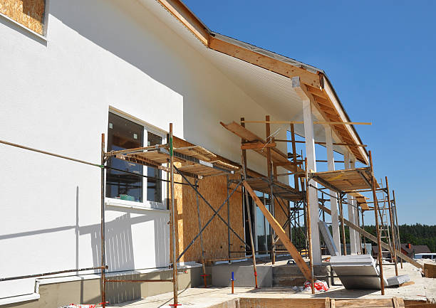 Best Real Estate Mold Inspection  in Tonka Bay, MN