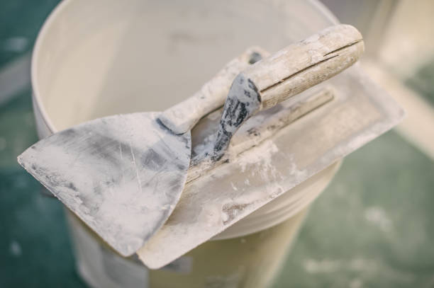 Best Mold Documentation for Insurance Claims  in Tonka Bay, MN