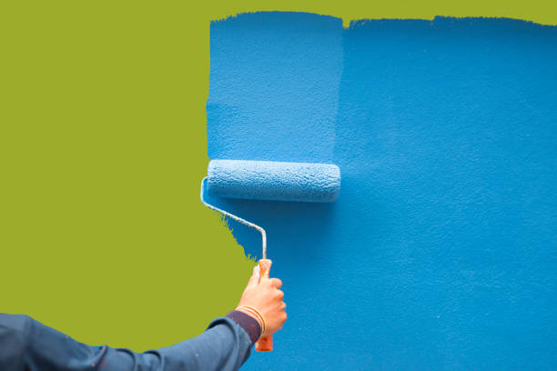 Reliable Tonka Bay, MN Mold Removal Solutions